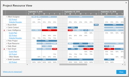 project resource view window